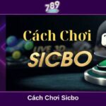 Cách chơi Sicbo