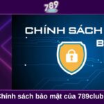 Chính sách bảo mật tại 789club