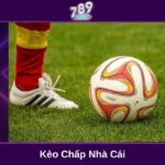 Kèo chấp nhà cái