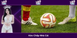 Kèo chấp nhà cái