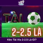 Kèo Tài Xỉu 2-2.5 là gì
