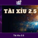 tài xỉu 2.5