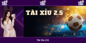 tài xỉu 2.5