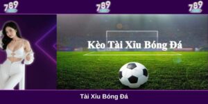 Tài xỉu bóng đá