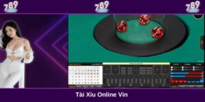 Tài xỉu online Vin