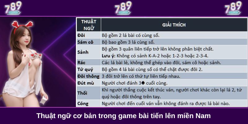 Thuật ngữ cơ bản trong game bài tiến lên miền Nam